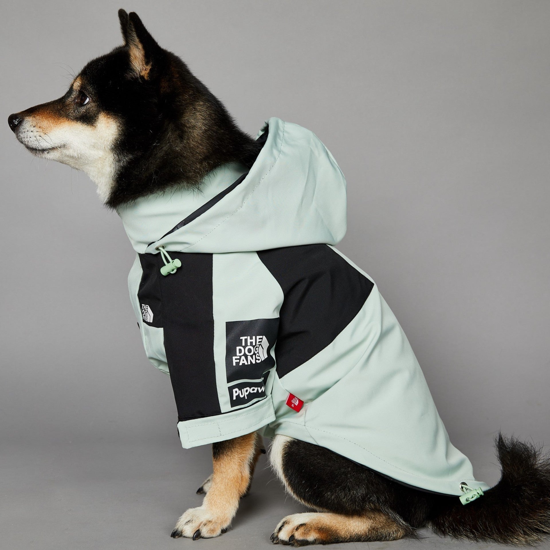 The Dog Fans Regenjacke in hellgrün
